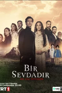 Одна любовь турецкий сериал