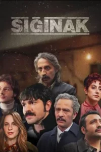 Приют турецкий сериал