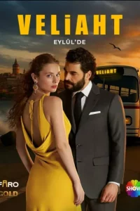 Наследник турецкий сериал